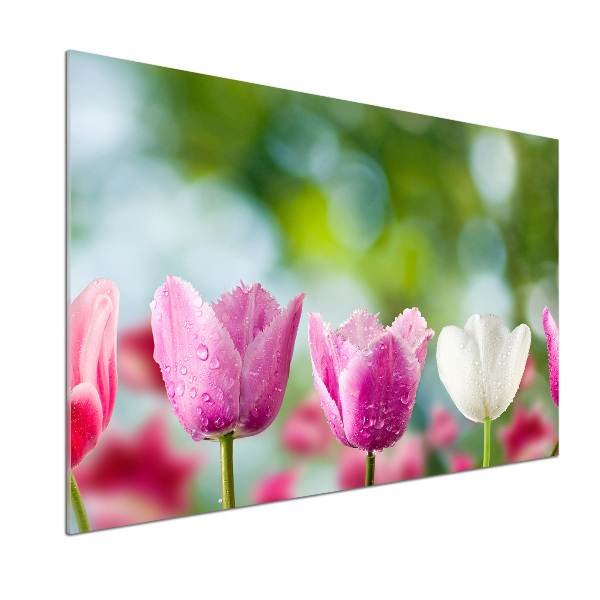 Kitchen splashback Tulips