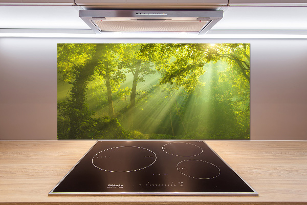 Cooker splashback Forest in the sun