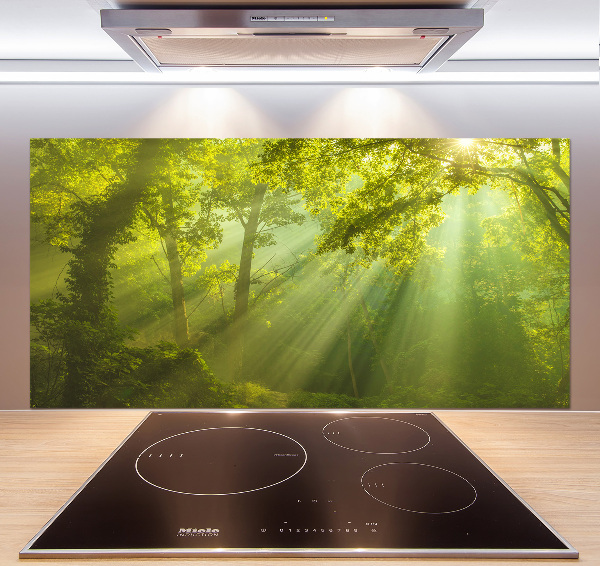 Cooker splashback Forest in the sun