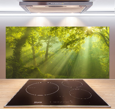 Cooker splashback Forest in the sun