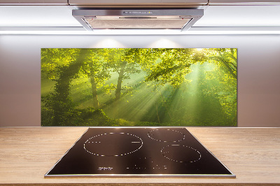 Cooker splashback Forest in the sun