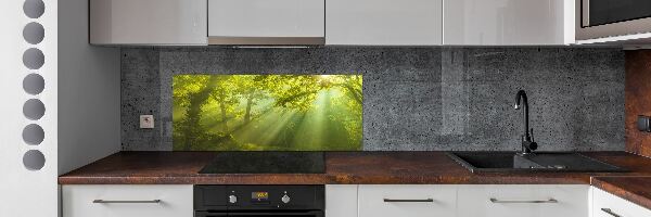 Cooker splashback Forest in the sun