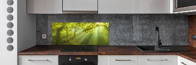 Cooker splashback Forest in the sun