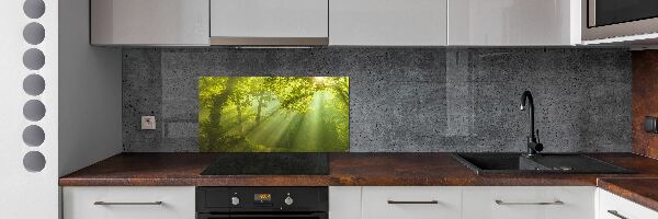 Cooker splashback Forest in the sun