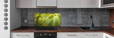 Cooker splashback Forest in the sun