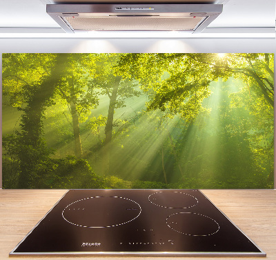 Cooker splashback Forest in the sun