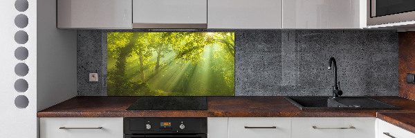 Cooker splashback Forest in the sun