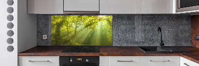 Cooker splashback Forest in the sun