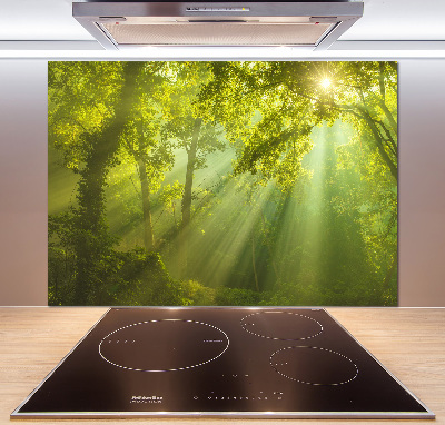 Cooker splashback Forest in the sun