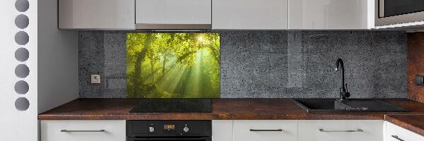 Cooker splashback Forest in the sun