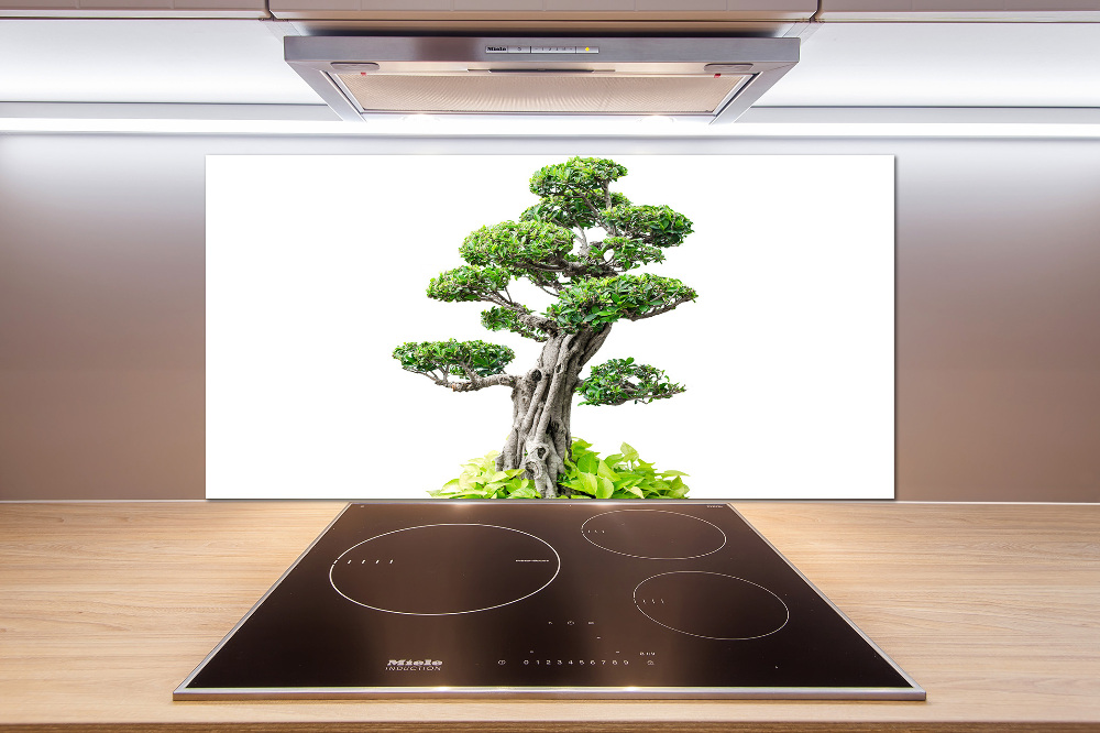 Kitchen splashback Bonsai tree