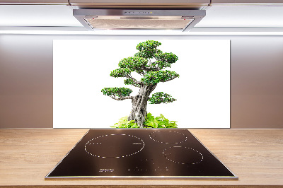 Kitchen splashback Bonsai tree