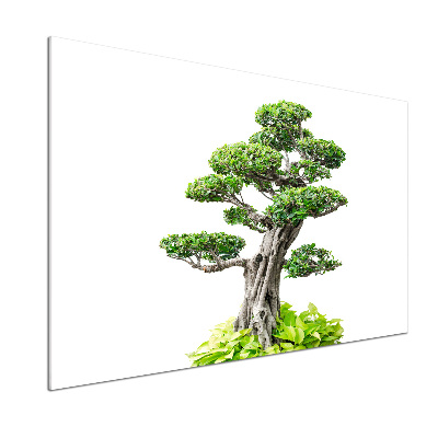 Kitchen splashback Bonsai tree