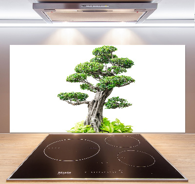 Kitchen splashback Bonsai tree