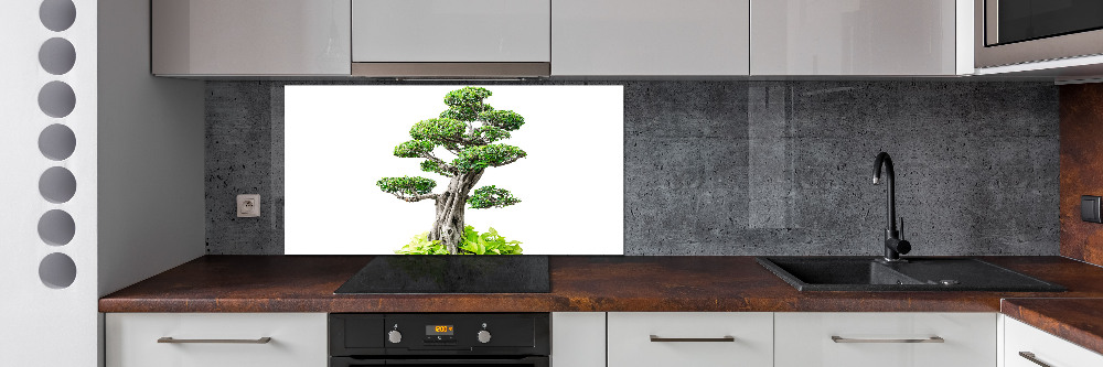 Kitchen splashback Bonsai tree