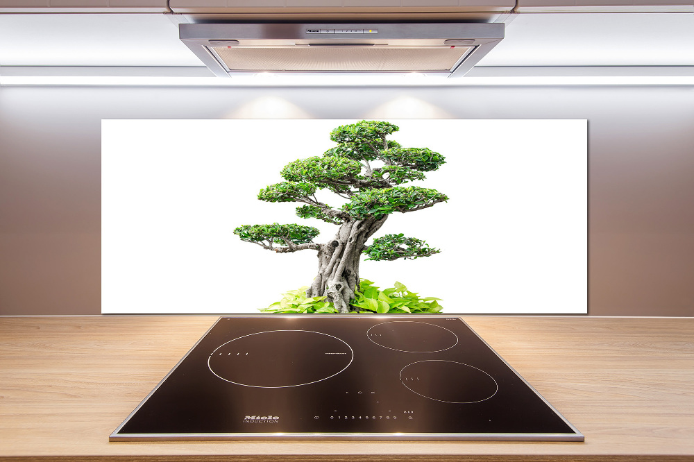 Kitchen splashback Bonsai tree