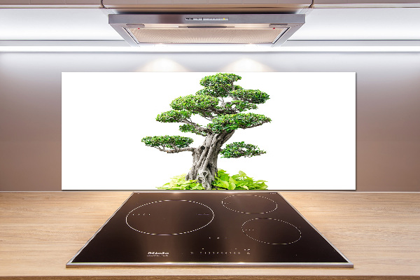 Kitchen splashback Bonsai tree