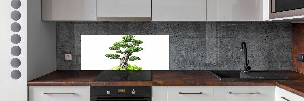 Kitchen splashback Bonsai tree