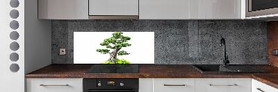 Kitchen splashback Bonsai tree