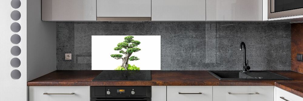 Kitchen splashback Bonsai tree