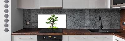 Kitchen splashback Bonsai tree