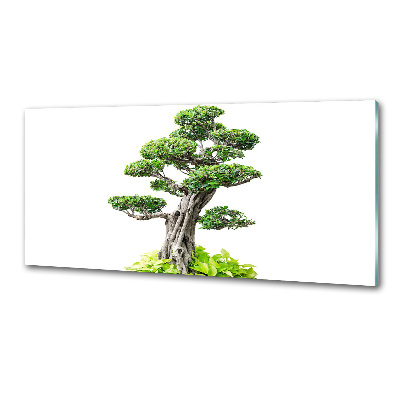 Kitchen splashback Bonsai tree