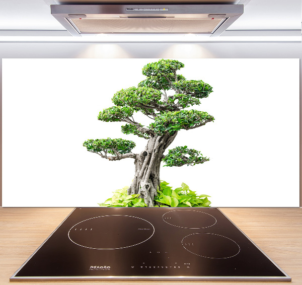 Kitchen splashback Bonsai tree