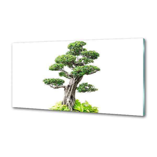 Kitchen splashback Bonsai tree