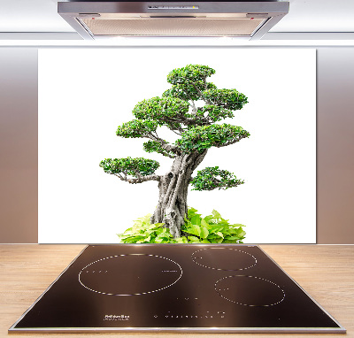 Kitchen splashback Bonsai tree