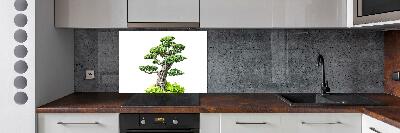 Kitchen splashback Bonsai tree