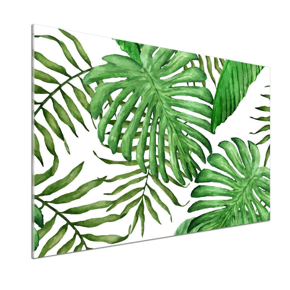 Cooker splashback Tropical leaves