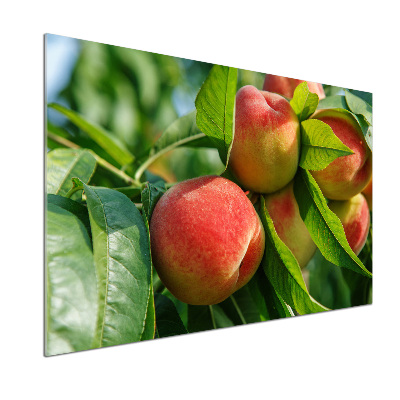 Cooker splashback Peaches