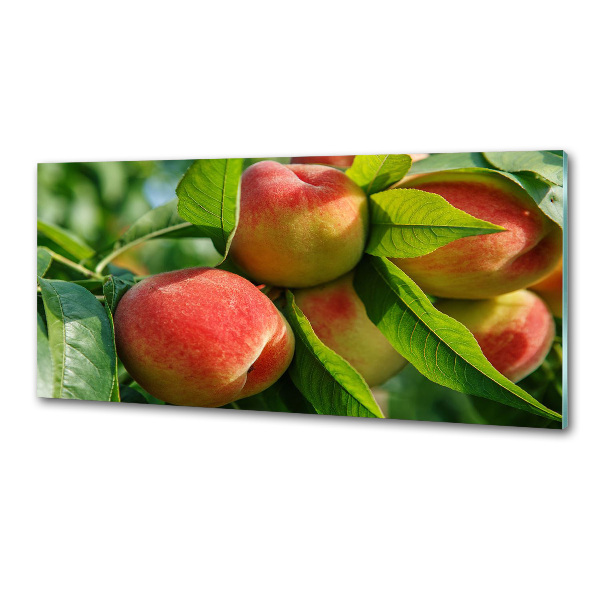 Cooker splashback Peaches