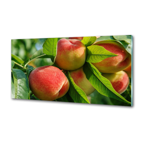 Cooker splashback Peaches