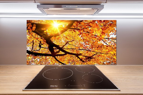 Kitchen splashback Crown of trees autumn