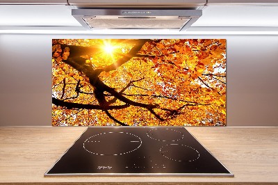 Kitchen splashback Crown of trees autumn