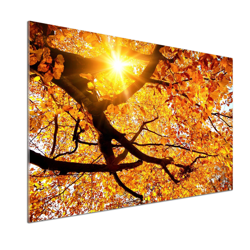 Kitchen splashback Crown of trees autumn