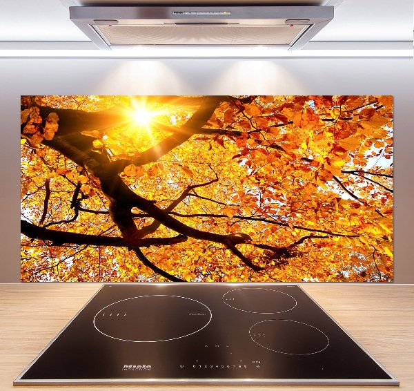 Kitchen splashback Crown of trees autumn