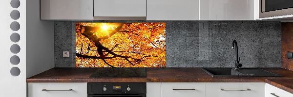 Kitchen splashback Crown of trees autumn