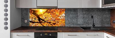 Kitchen splashback Crown of trees autumn