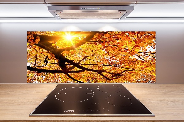 Kitchen splashback Crown of trees autumn