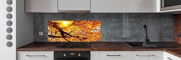 Kitchen splashback Crown of trees autumn