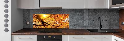 Kitchen splashback Crown of trees autumn