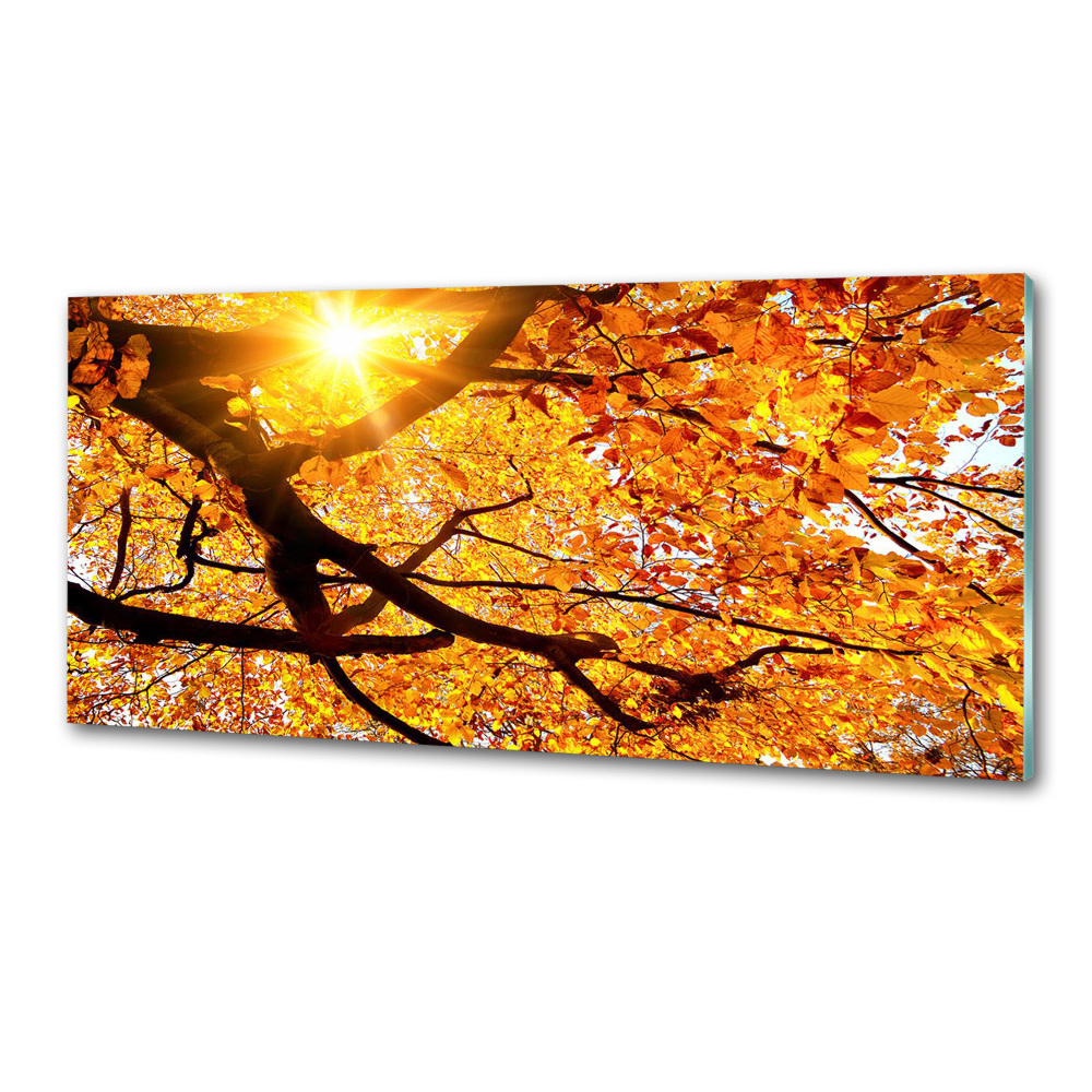 Kitchen splashback Crown of trees autumn