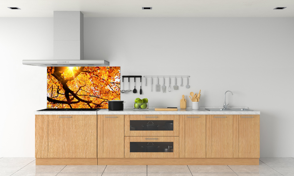 Kitchen splashback Crown of trees autumn