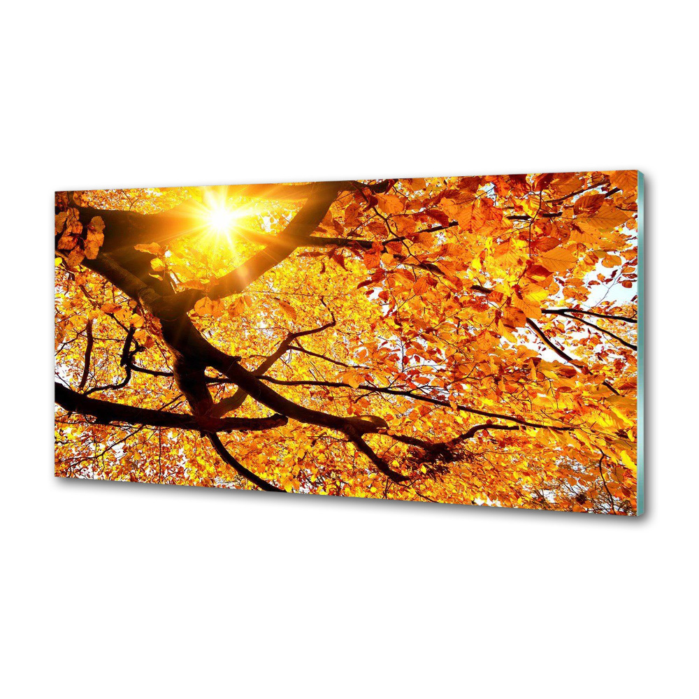 Kitchen splashback Crown of trees autumn