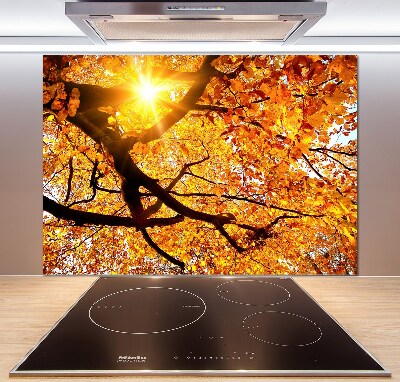 Kitchen splashback Crown of trees autumn