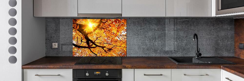 Kitchen splashback Crown of trees autumn