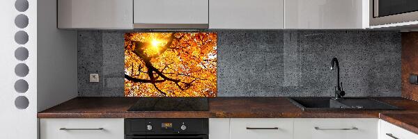 Kitchen splashback Crown of trees autumn