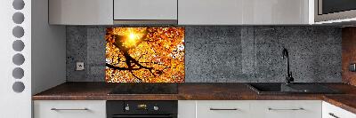 Kitchen splashback Crown of trees autumn